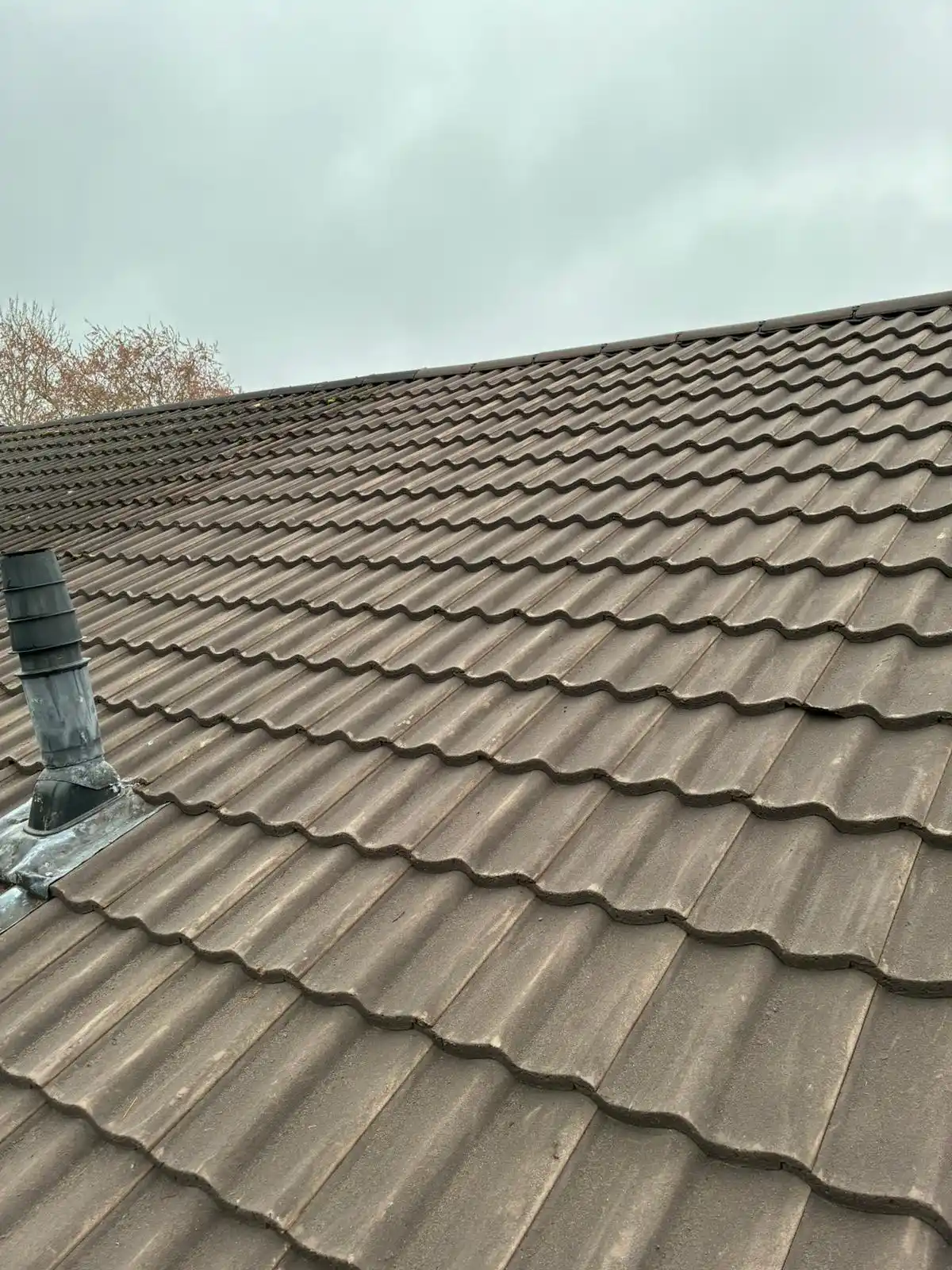 A & S Homescapes Ltd | Gallery