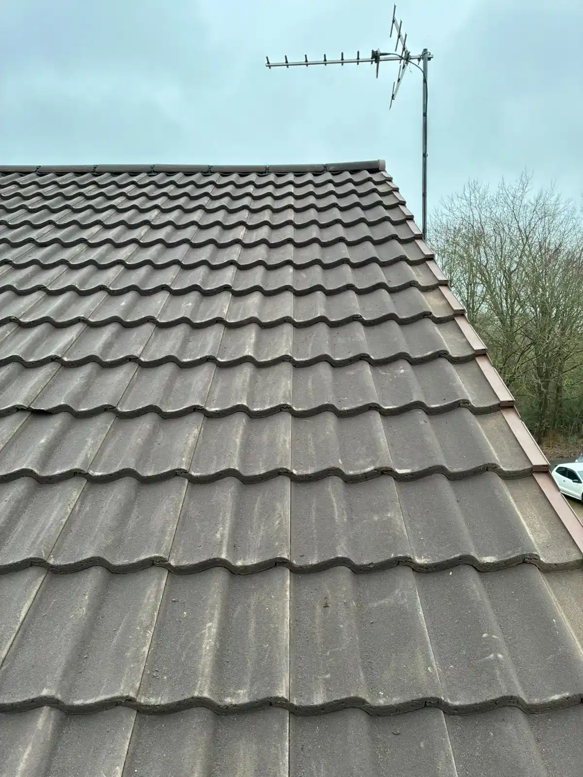 A & S Homescapes Ltd | Gallery